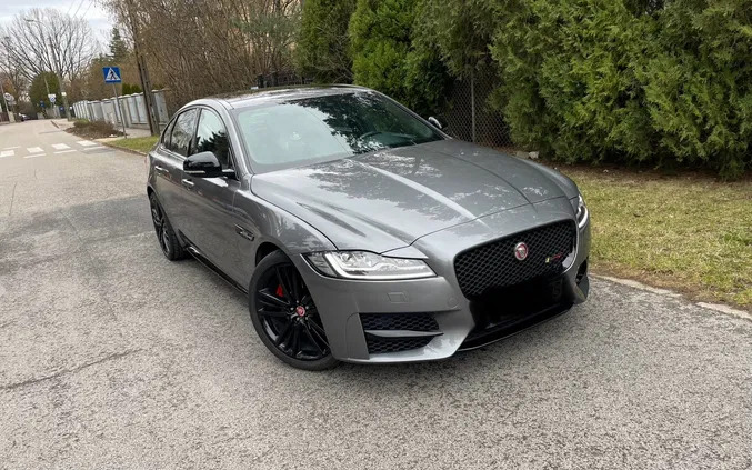 jaguar xf łomianki Jaguar XF cena 135900 przebieg: 53000, rok produkcji 2020 z Łomianki